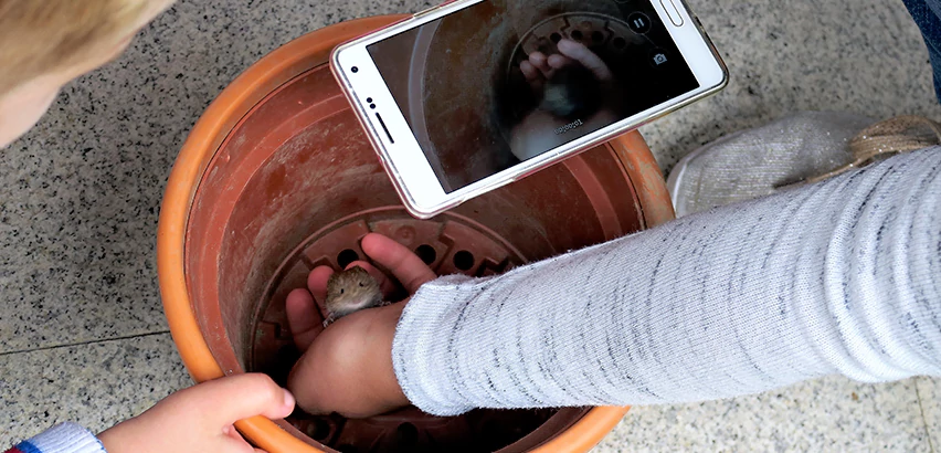 Scope of Drain Camera Inspection Services in West Mifflin, PA