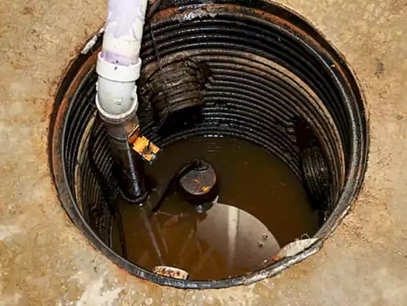 Why West Mifflin Plumbing is the First Choice for Sump Pump Maintenance Services in West Mifflin, PA?