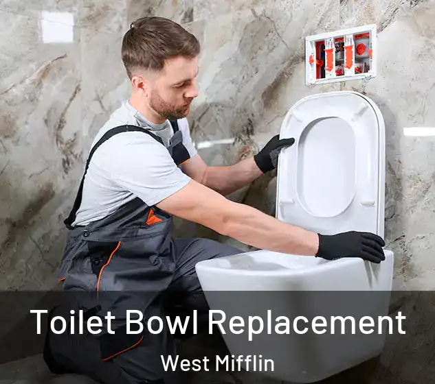  Toilet Bowl Replacement West Mifflin