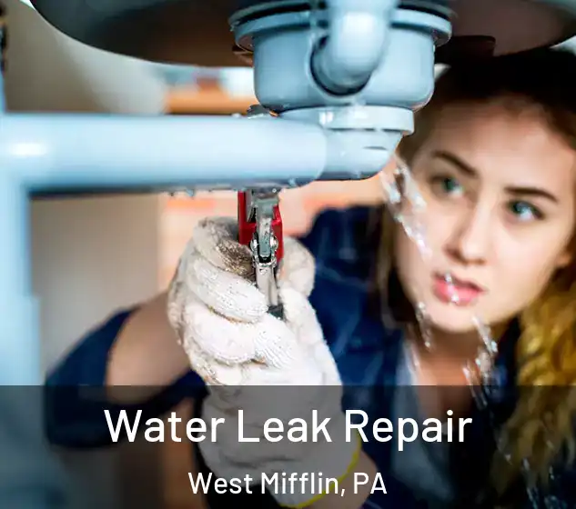  Water Leak Repair West Mifflin, PA